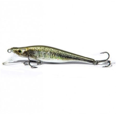 Wobler FishTank delta olive 9cm ft-d9f-o