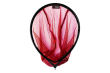 Kosz do podbieraka 50x40cm Delphin ATOMA FD 942000285 - 2