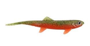 Guma Dam Split tail Orange Belly 14cm 5724202