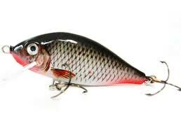 Wobler Jaxon Karaś 5,5cm 6g VJ-KA6FD