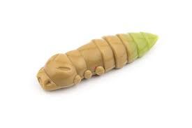 Guma FishUp Pupa 1,2" czosnek 137 coffee milk/ light olive